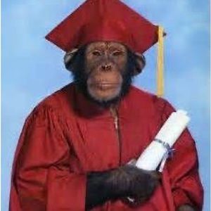 Meet your Posher, Tristan